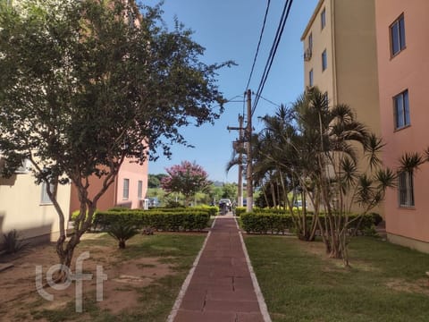 Image 11 - 248464